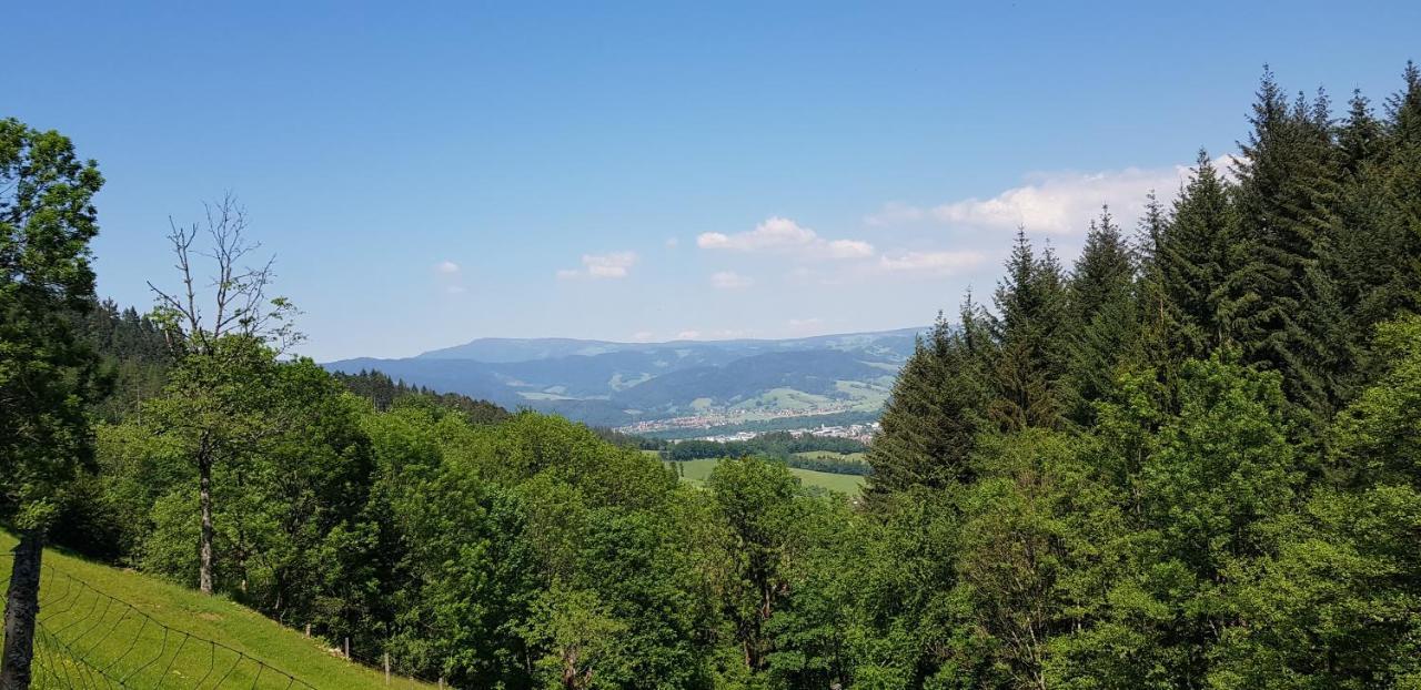 Gasthaus Sternen Post Oberried  Extérieur photo