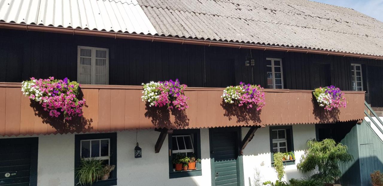 Gasthaus Sternen Post Oberried  Extérieur photo
