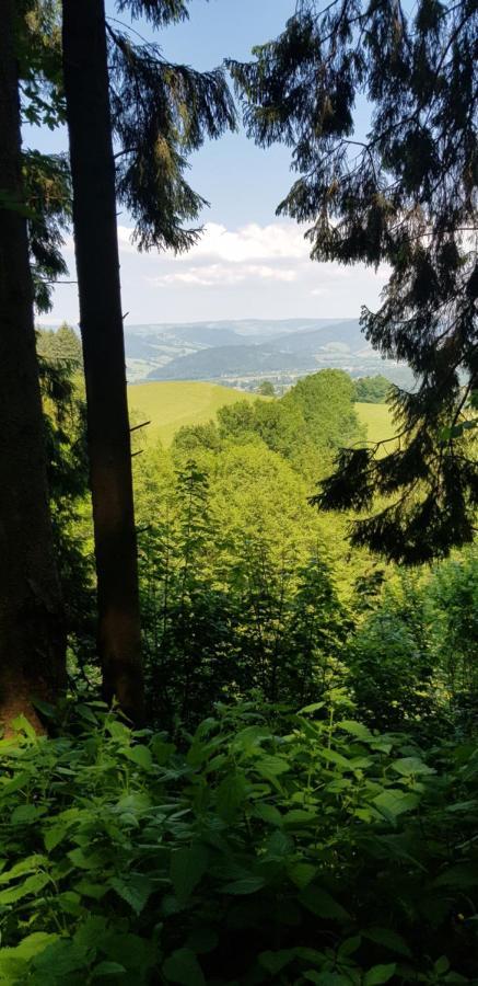 Gasthaus Sternen Post Oberried  Extérieur photo